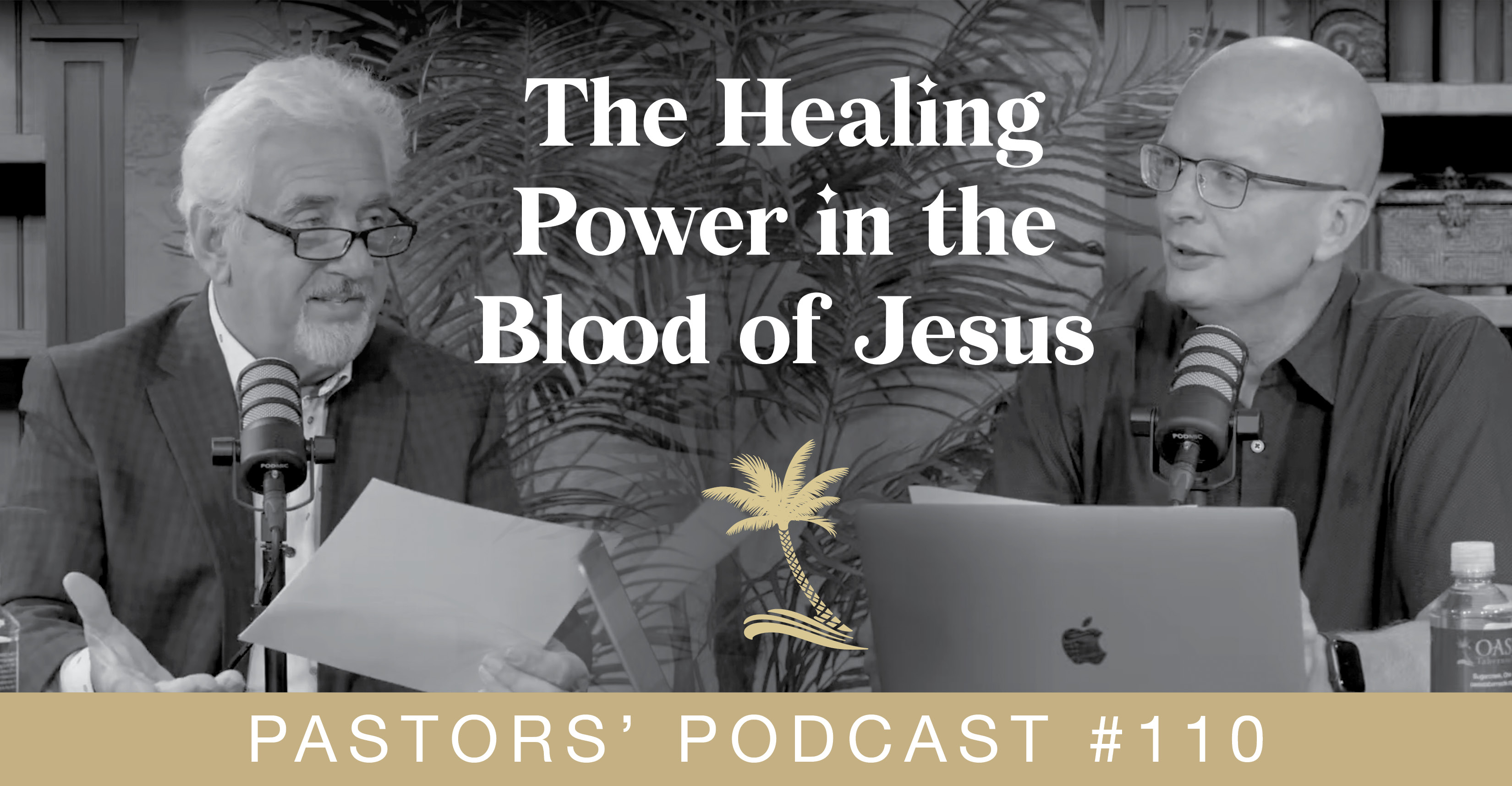 PODCAST 110 - BLOG THUMBNAIL -
